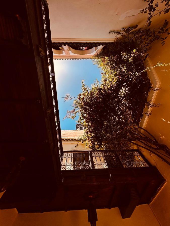 riad msholidays - privatisé jusqu'à 6 personnes - bassin Marrakesh Esterno foto